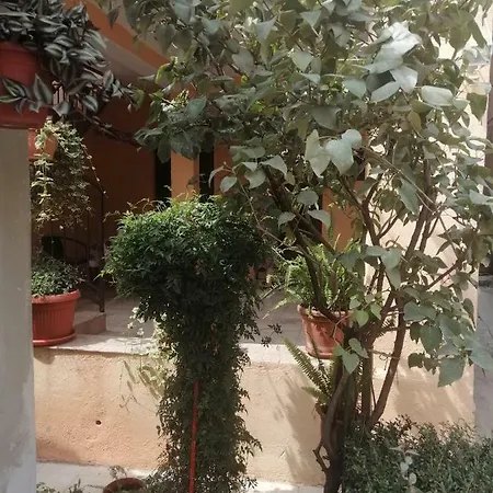 Lea * Spalato