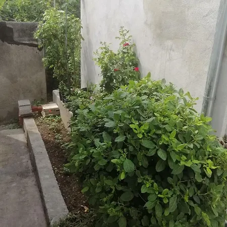 Lea Apartman